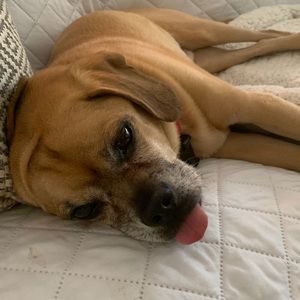 Meet your Posher, Arden